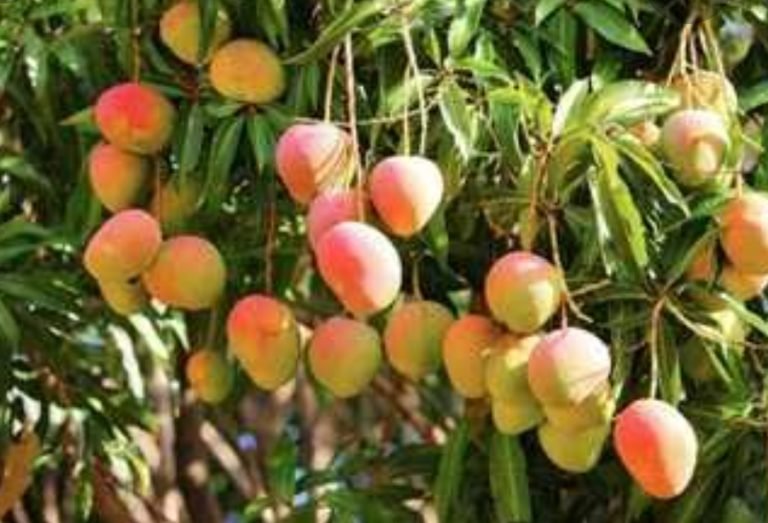 Screenshot_2022-11-02-08-52-09-80_680d03679600f7af0b4c700c6b270fe7